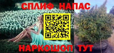 молекула духа Белорецк