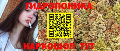 молекула духа Белорецк