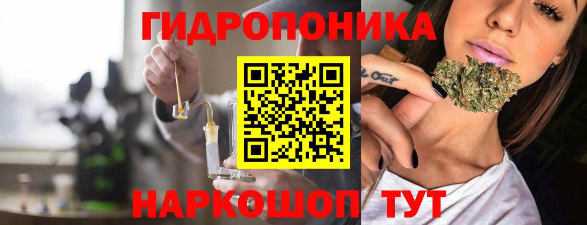 Шишки марихуана гибрид Волхов